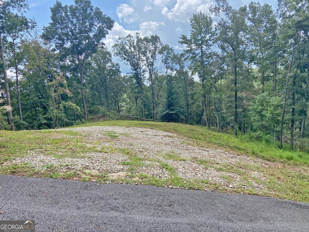 unimproved land for sale at 3.3AC Trillium Trail, Dahlonega, GA 30533 — photo 1 of 8