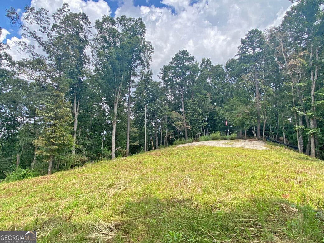 unimproved land for sale at 3.3AC Trillium Trail, Dahlonega, GA 30533 — photo 5