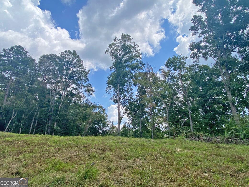 unimproved land for sale at 3.3AC Trillium Trail, Dahlonega, GA 30533 — photo 4