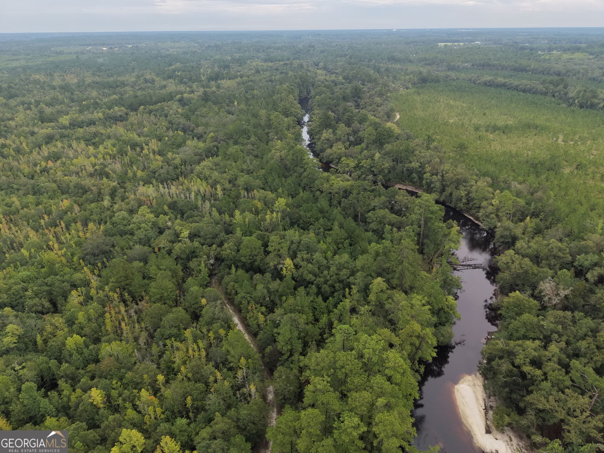 unimproved land for sale at 0 South River Road, Waycross, GA 31503 — photo 2