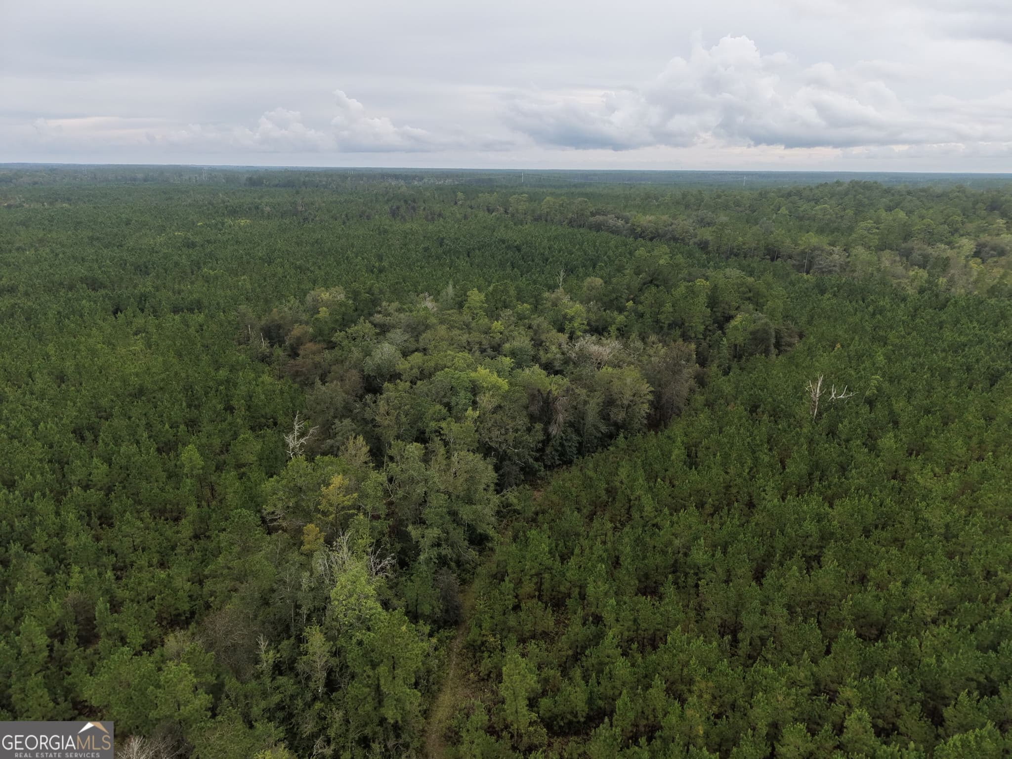 unimproved land for sale at 0 South River Road, Waycross, GA 31503 — photo 6