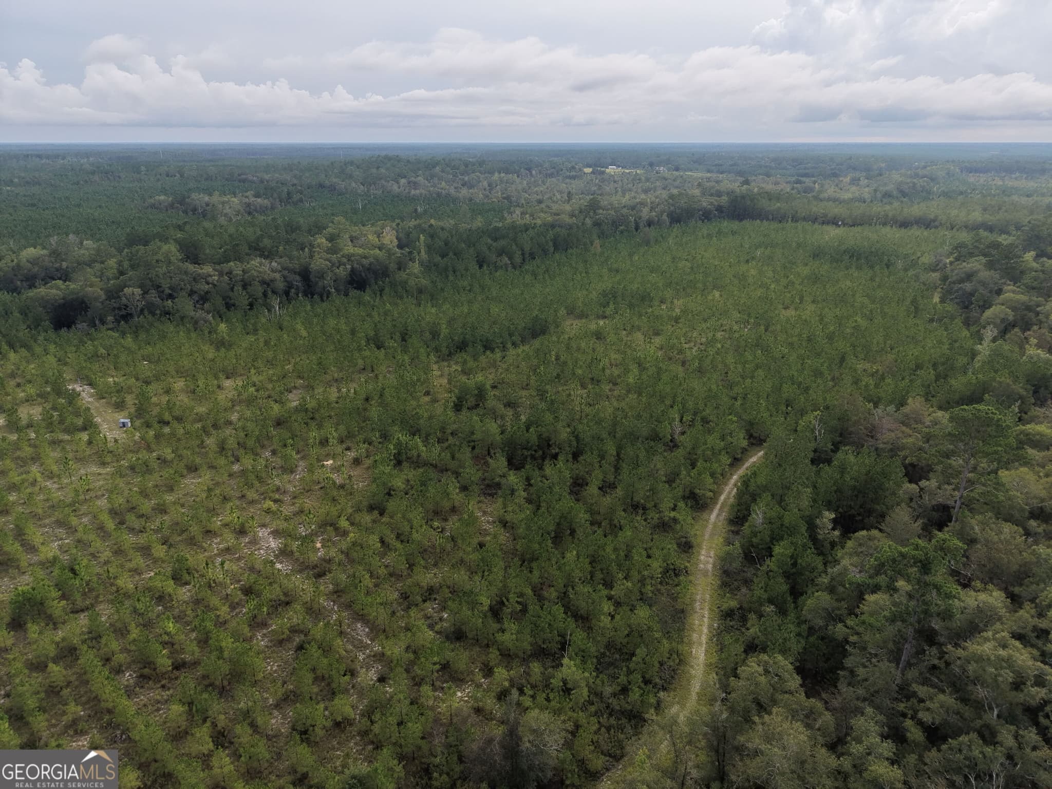 unimproved land for sale at 0 South River Road, Waycross, GA 31503 — photo 7