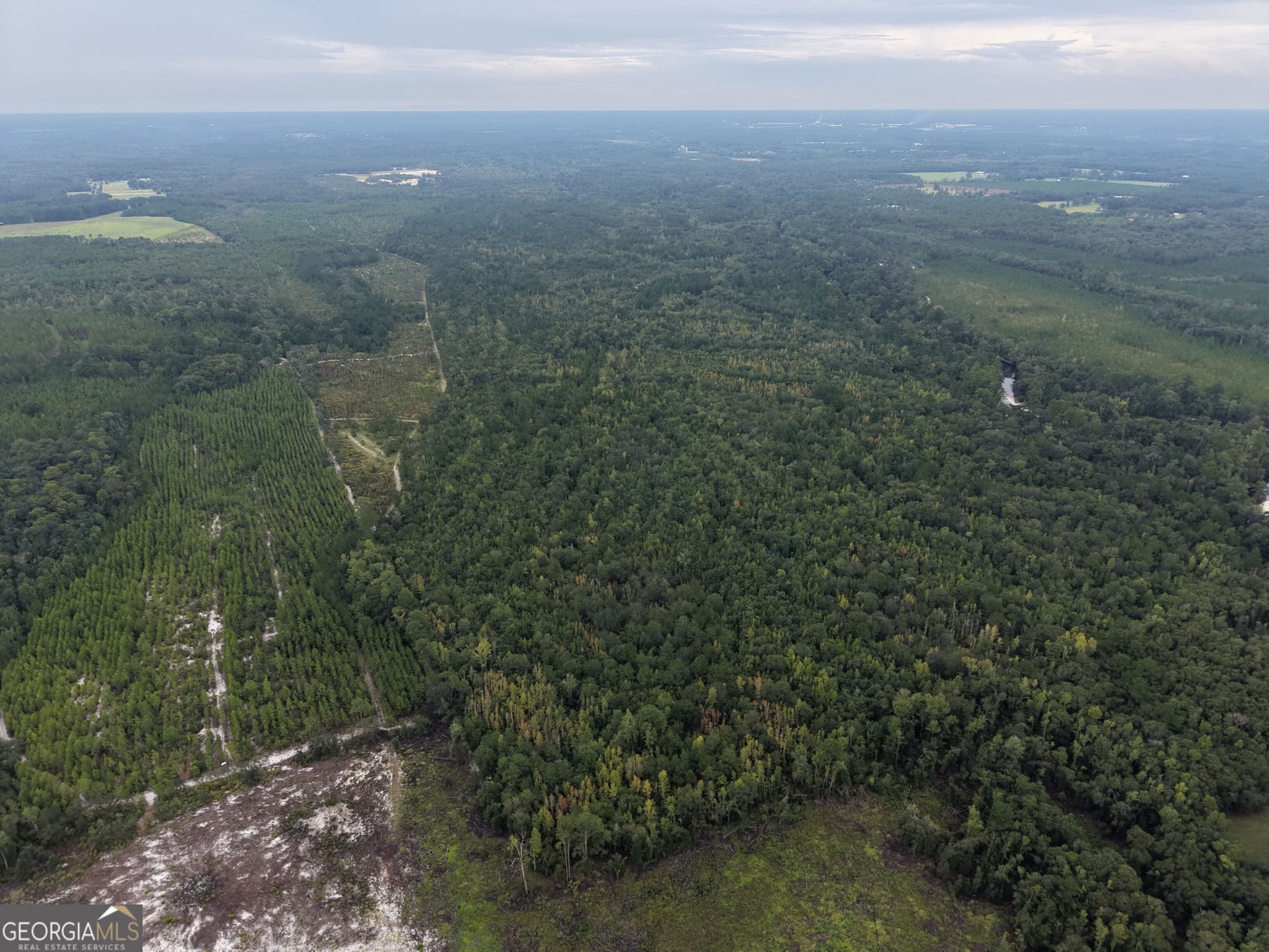 unimproved land for sale at 0 South River Road, Waycross, GA 31503 — photo 5