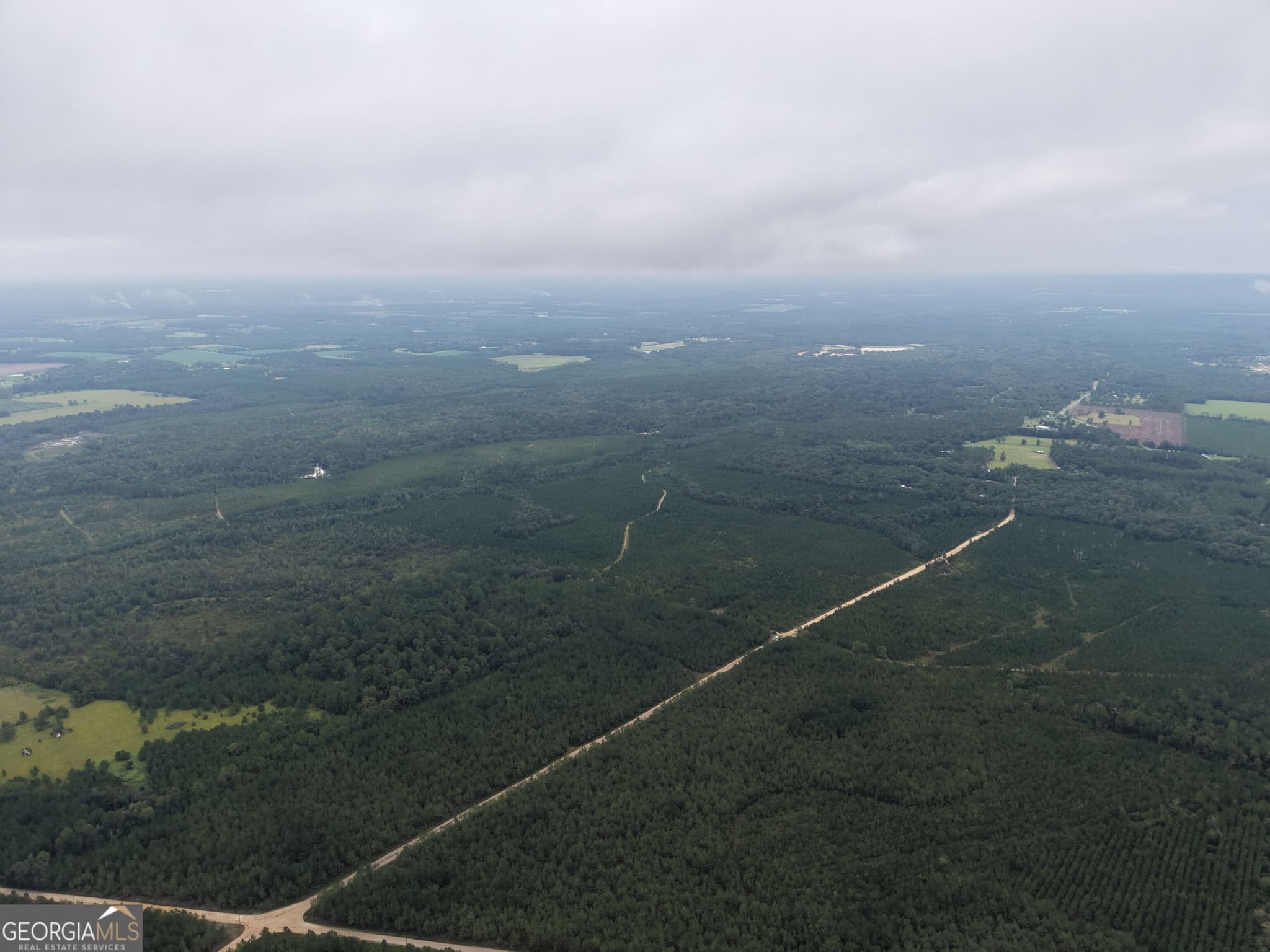 unimproved land for sale at 0 South River Road, Waycross, GA 31503 — photo 9