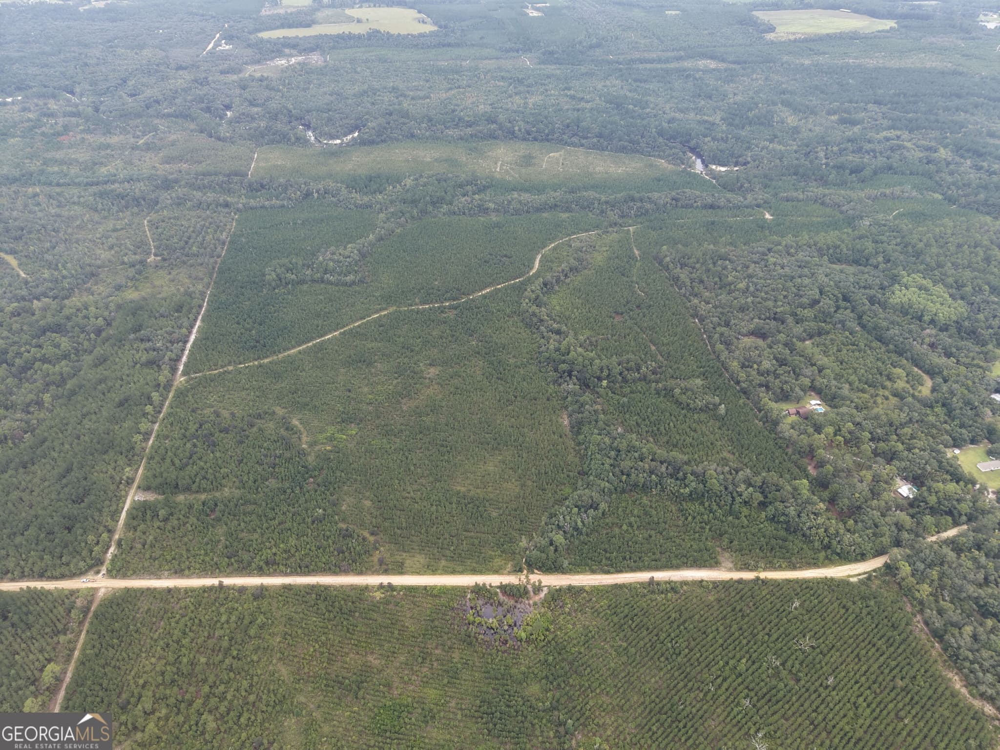 unimproved land for sale at 0 South River Road, Waycross, GA 31503 — photo 10