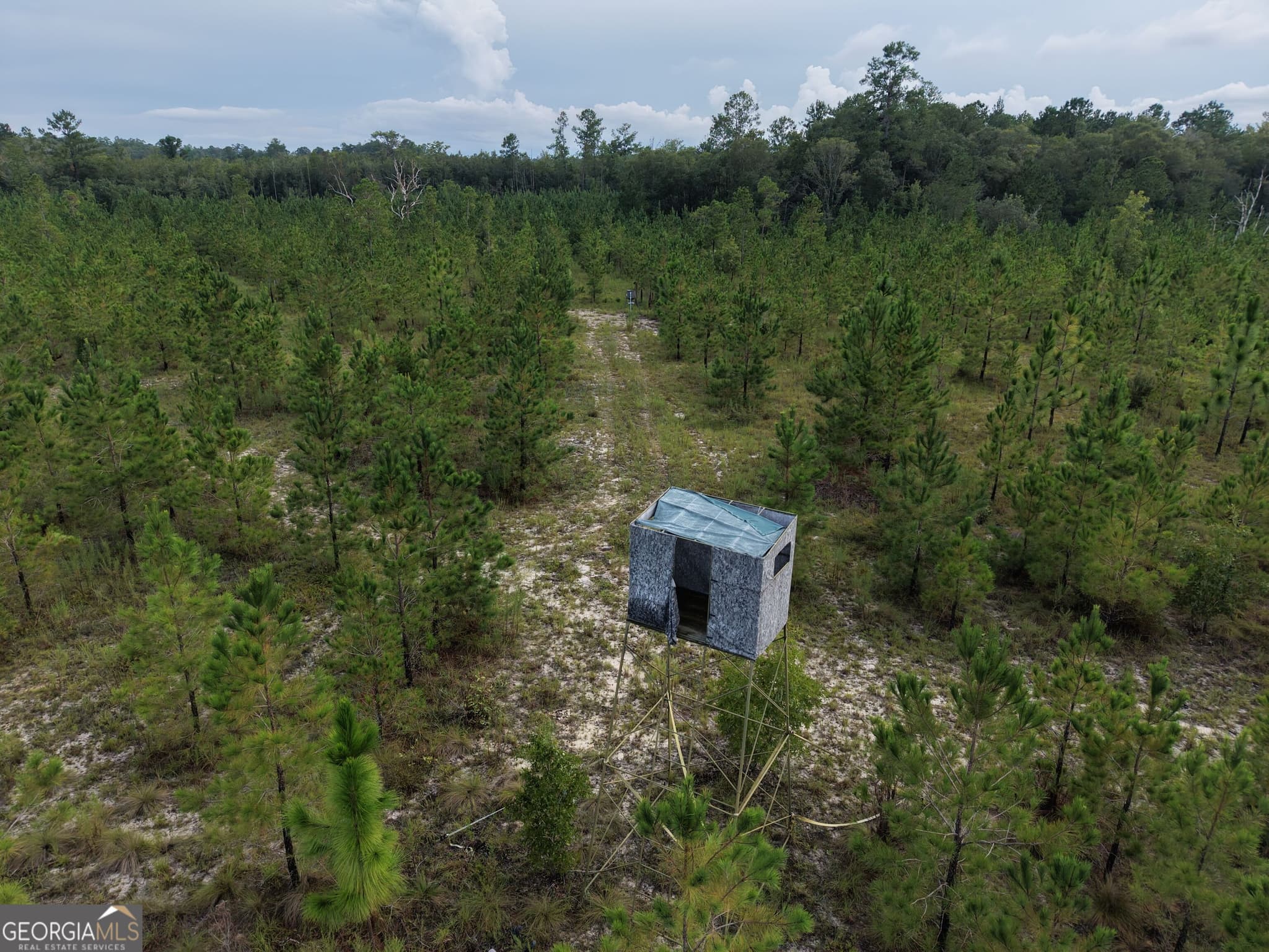 unimproved land for sale at 0 South River Road, Waycross, GA 31503 — photo 4