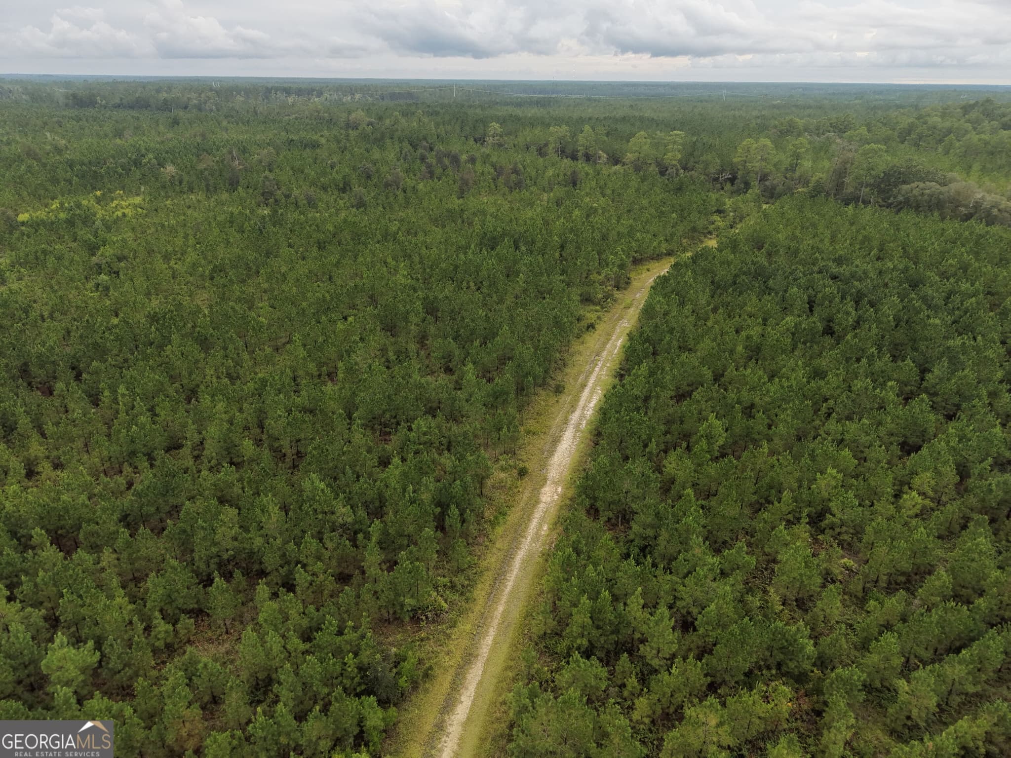 unimproved land for sale at 0 South River Road, Waycross, GA 31503 — photo 8