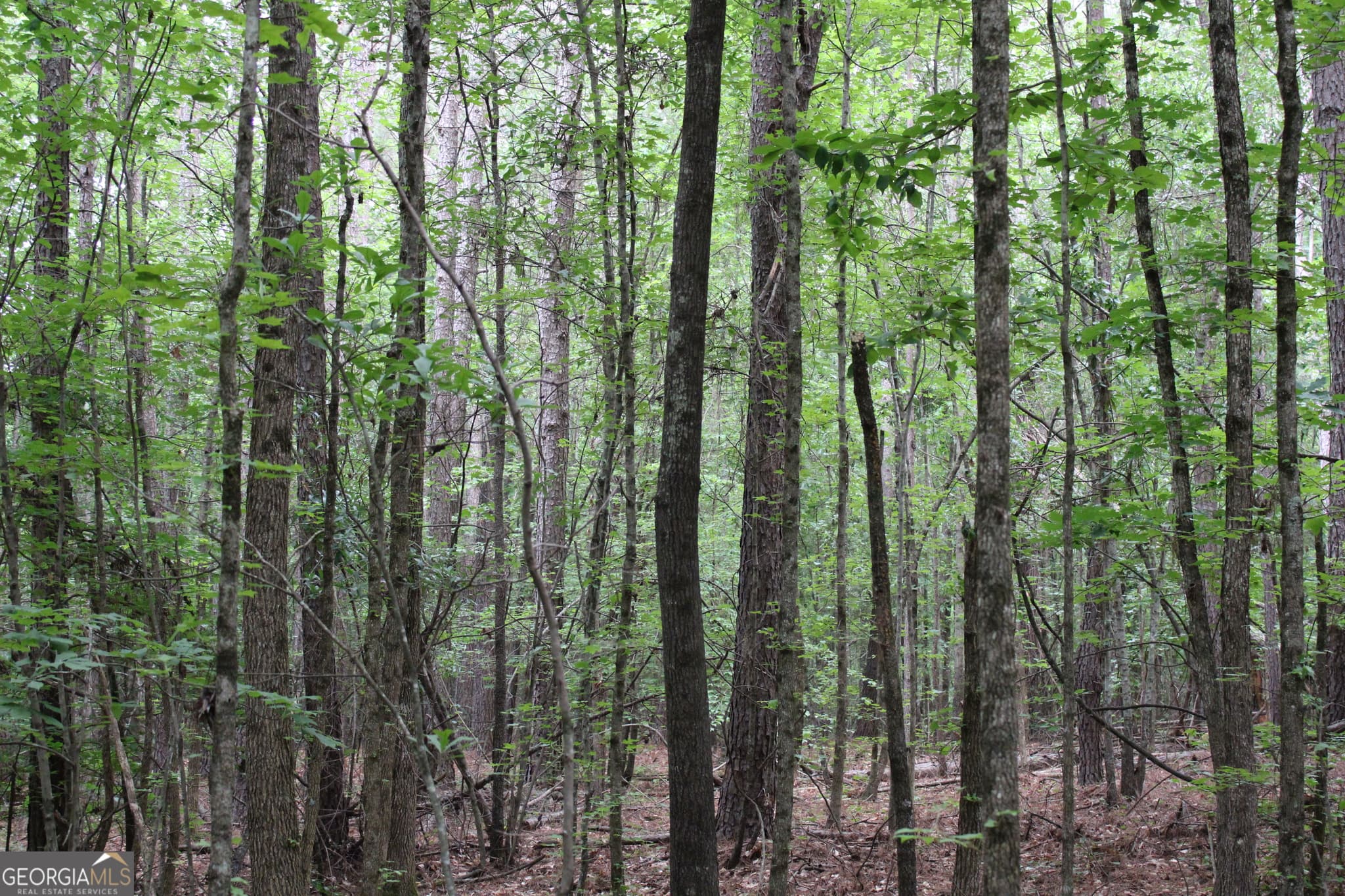 residential lot for sale at 1 Garnett Ward Road, Hull, GA 30646 — photo 2