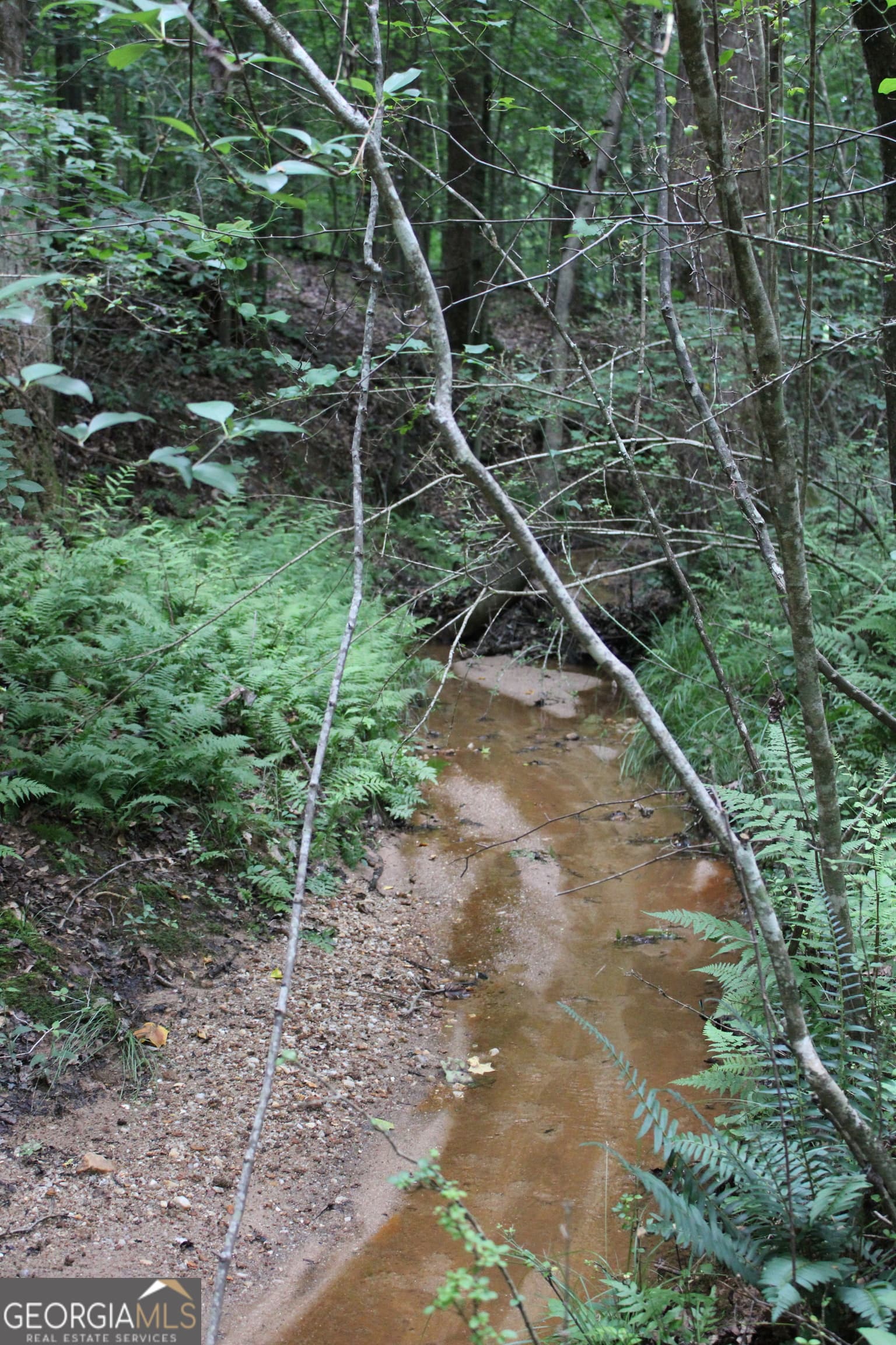 residential lot for sale at 1 Garnett Ward Road, Hull, GA 30646 — photo 6