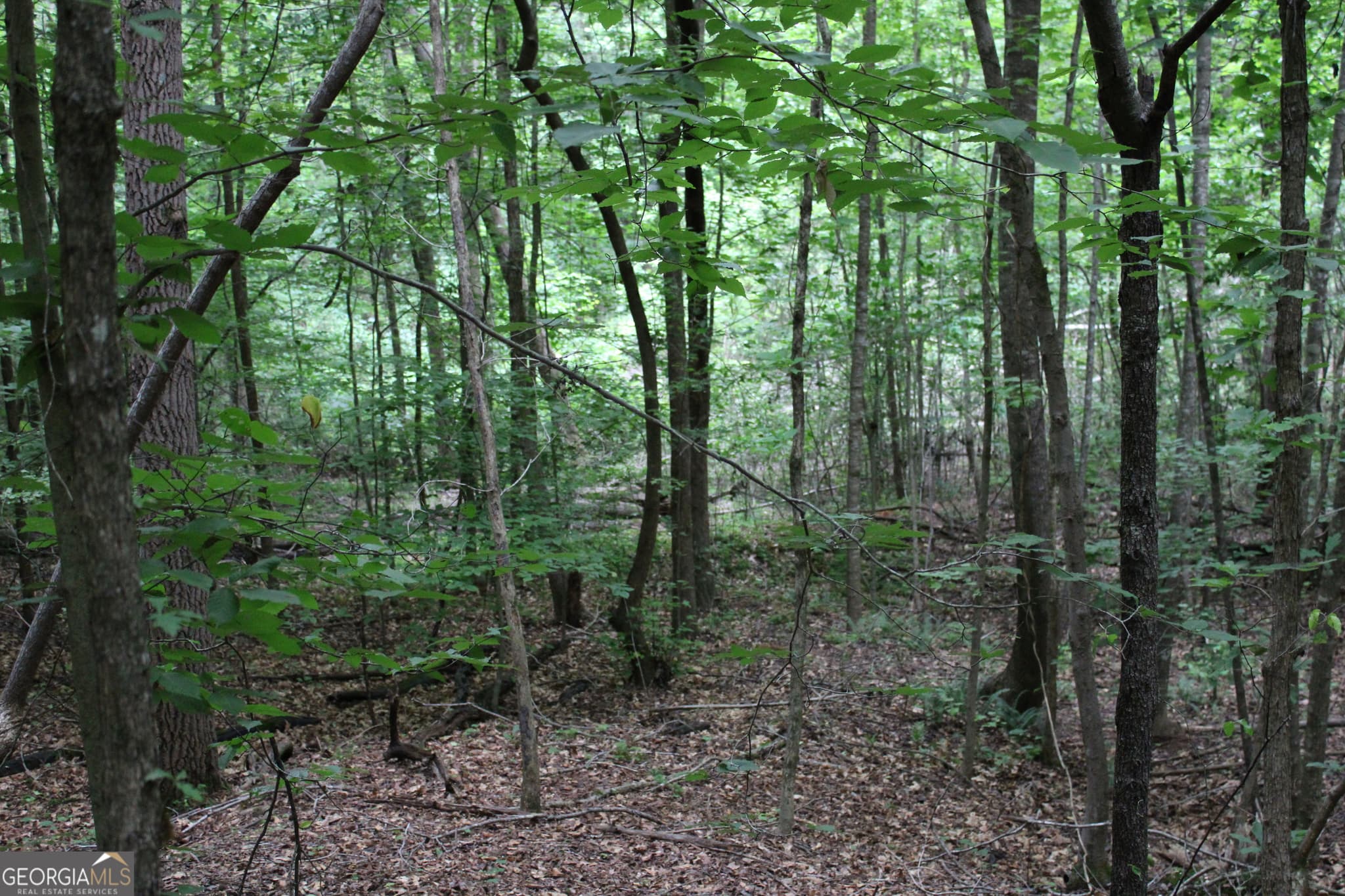residential lot for sale at 1 Garnett Ward Road, Hull, GA 30646 — photo 7