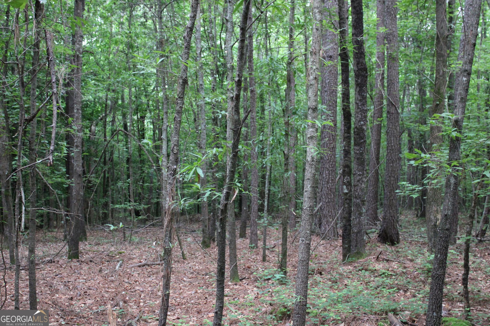 residential lot for sale at 1 Garnett Ward Road, Hull, GA 30646 — photo 3