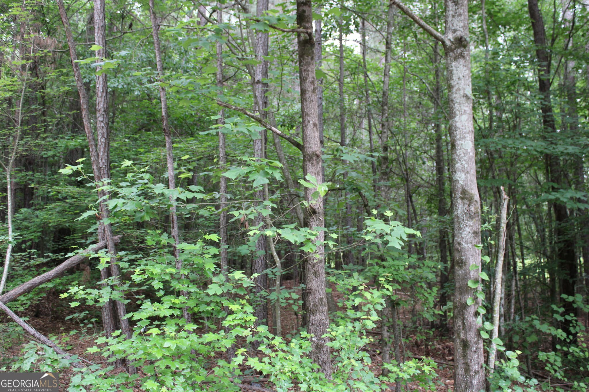 residential lot for sale at 1 Garnett Ward Road, Hull, GA 30646 — photo 1 of 15