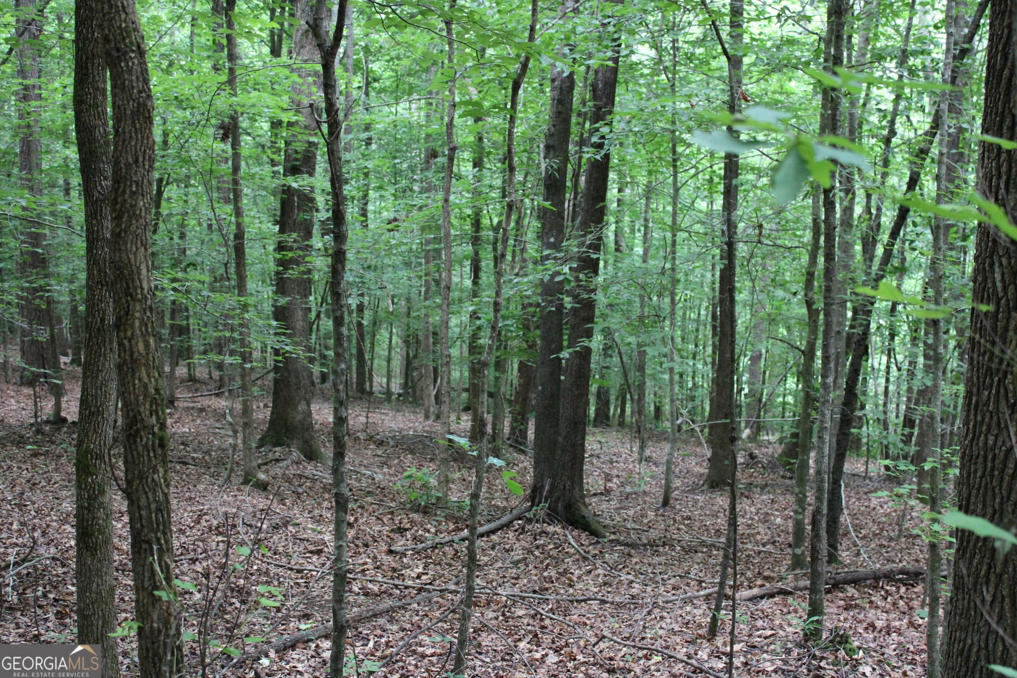 residential lot for sale at 1 Garnett Ward Road, Hull, GA 30646 — photo 5
