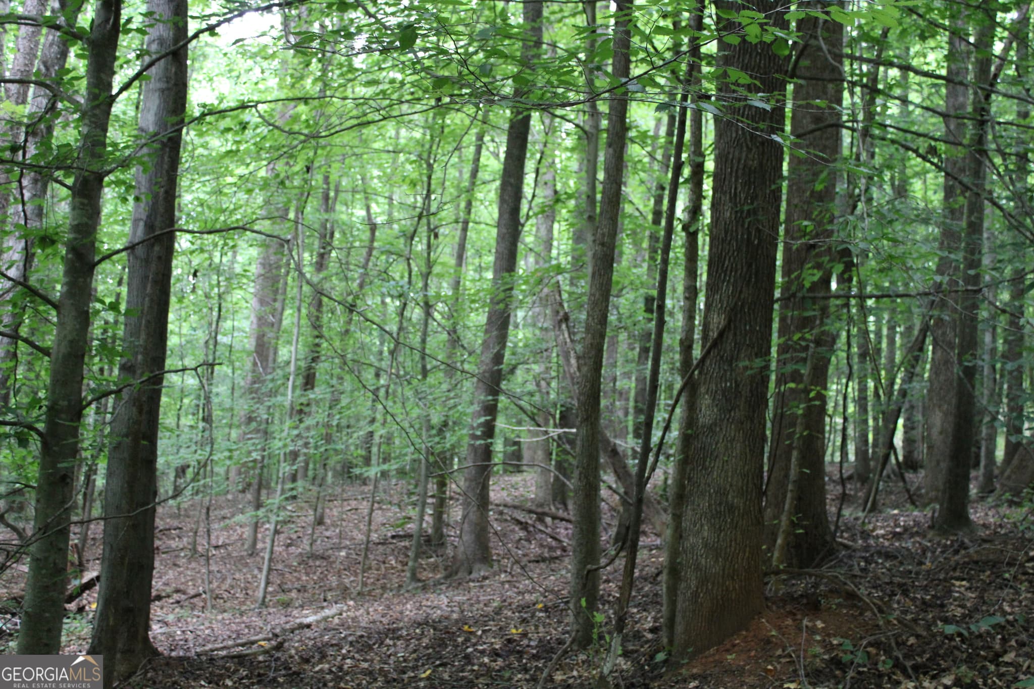 residential lot for sale at 1 Garnett Ward Road, Hull, GA 30646 — photo 9
