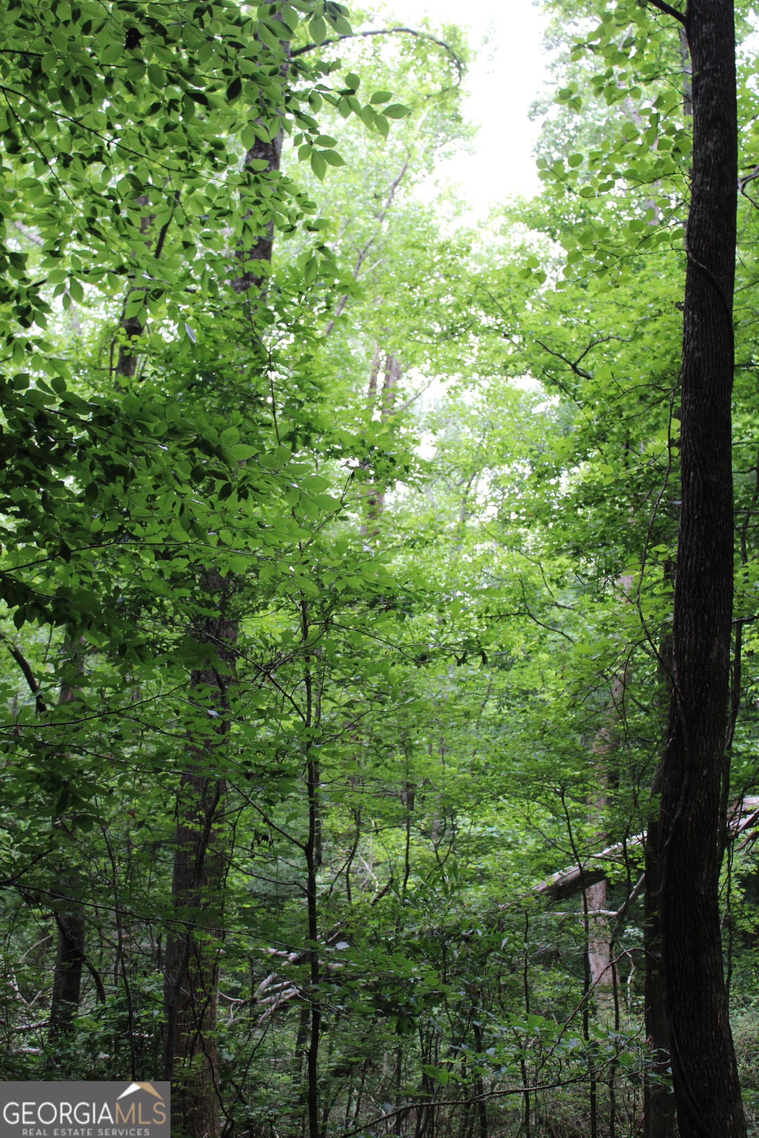 residential lot for sale at 1 Garnett Ward Road, Hull, GA 30646 — photo 10