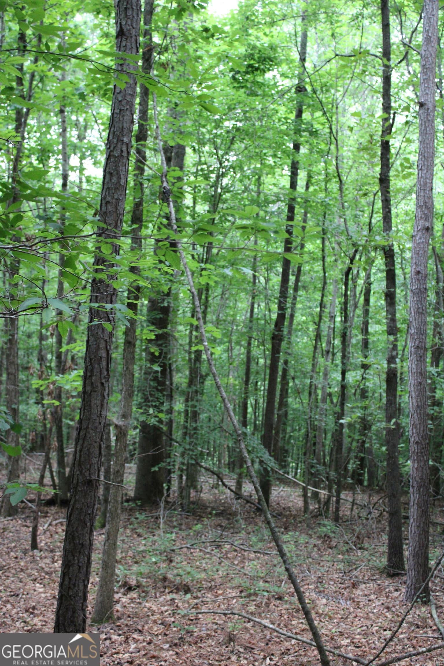 residential lot for sale at 1 Garnett Ward Road, Hull, GA 30646 — photo 4