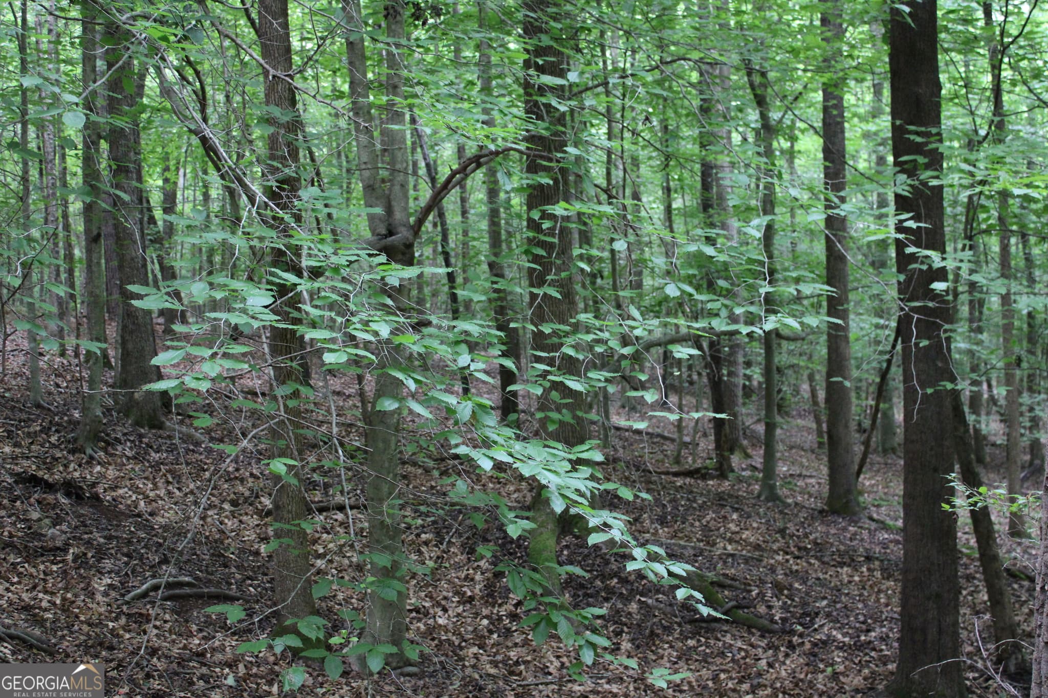 residential lot for sale at 1 Garnett Ward Road, Hull, GA 30646 — photo 8