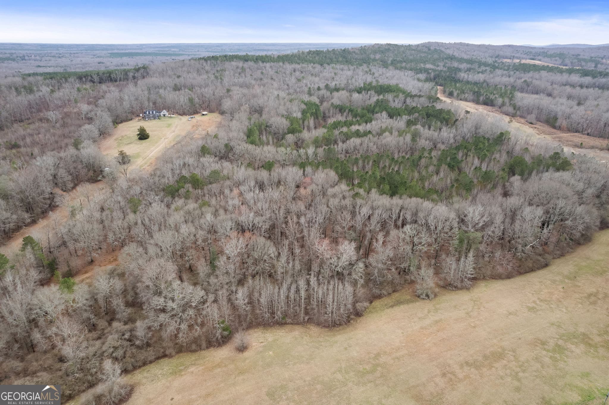 agriculture for sale at 34.61 ACRES Walker Road, Meansville, GA 30256 — photo 6