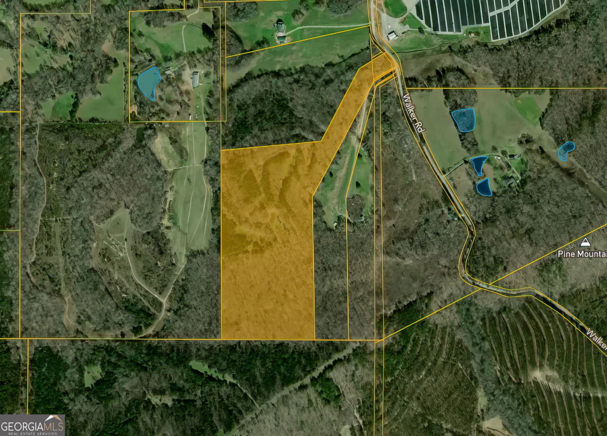 agriculture for sale at 34.61 ACRES Walker Road, Meansville, GA 30256 — photo 3