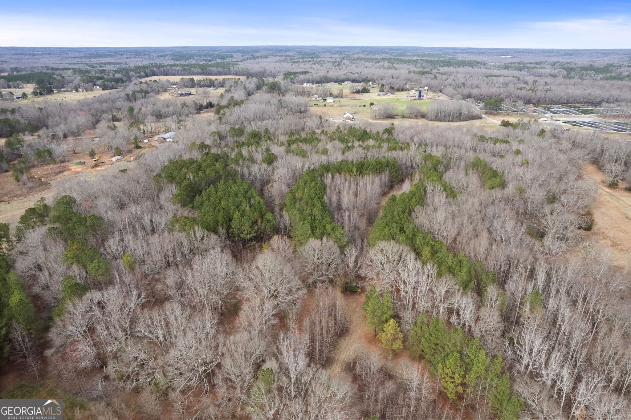 agriculture for sale at 34.61 ACRES Walker Road, Meansville, GA 30256 — photo 9