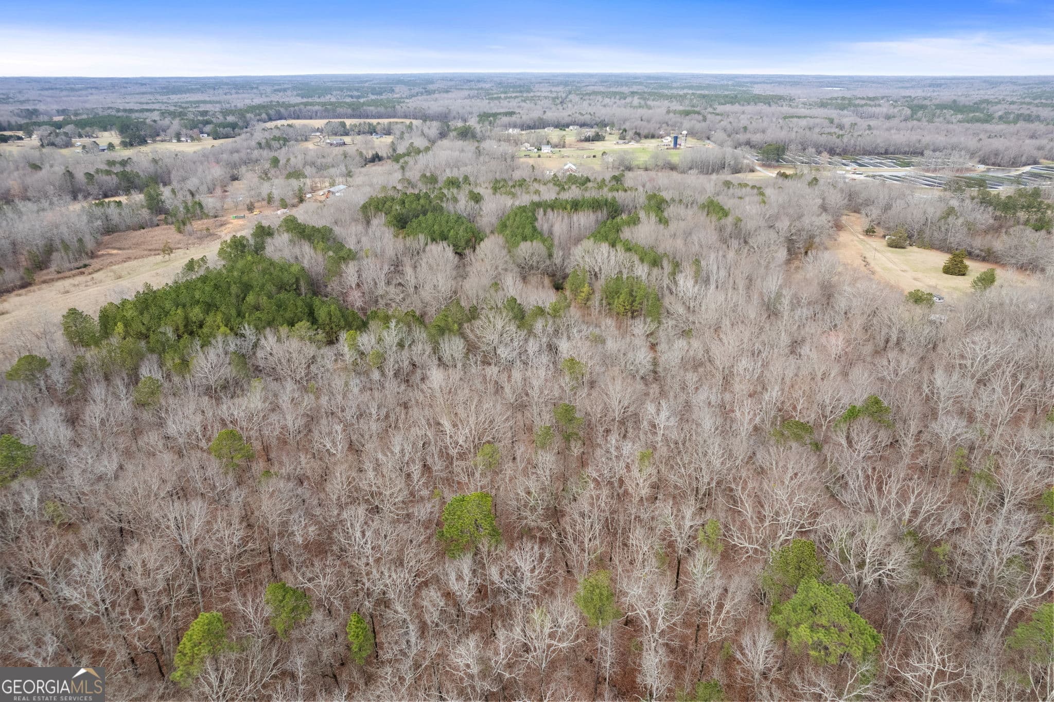 agriculture for sale at 34.61 ACRES Walker Road, Meansville, GA 30256 — photo 10