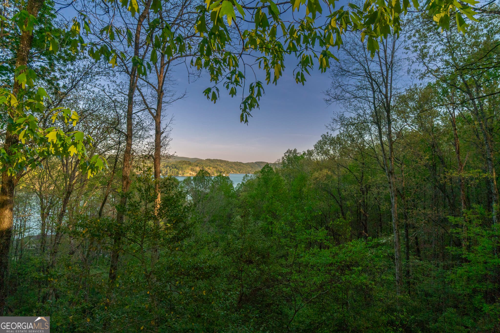 3 bedroom, 3 bathroom, 1,296 sq ft cabin,single family residence for sale at 2814 & 2816 Laurel Lodge Road, Clarkesville, GA 30523 — photo 7