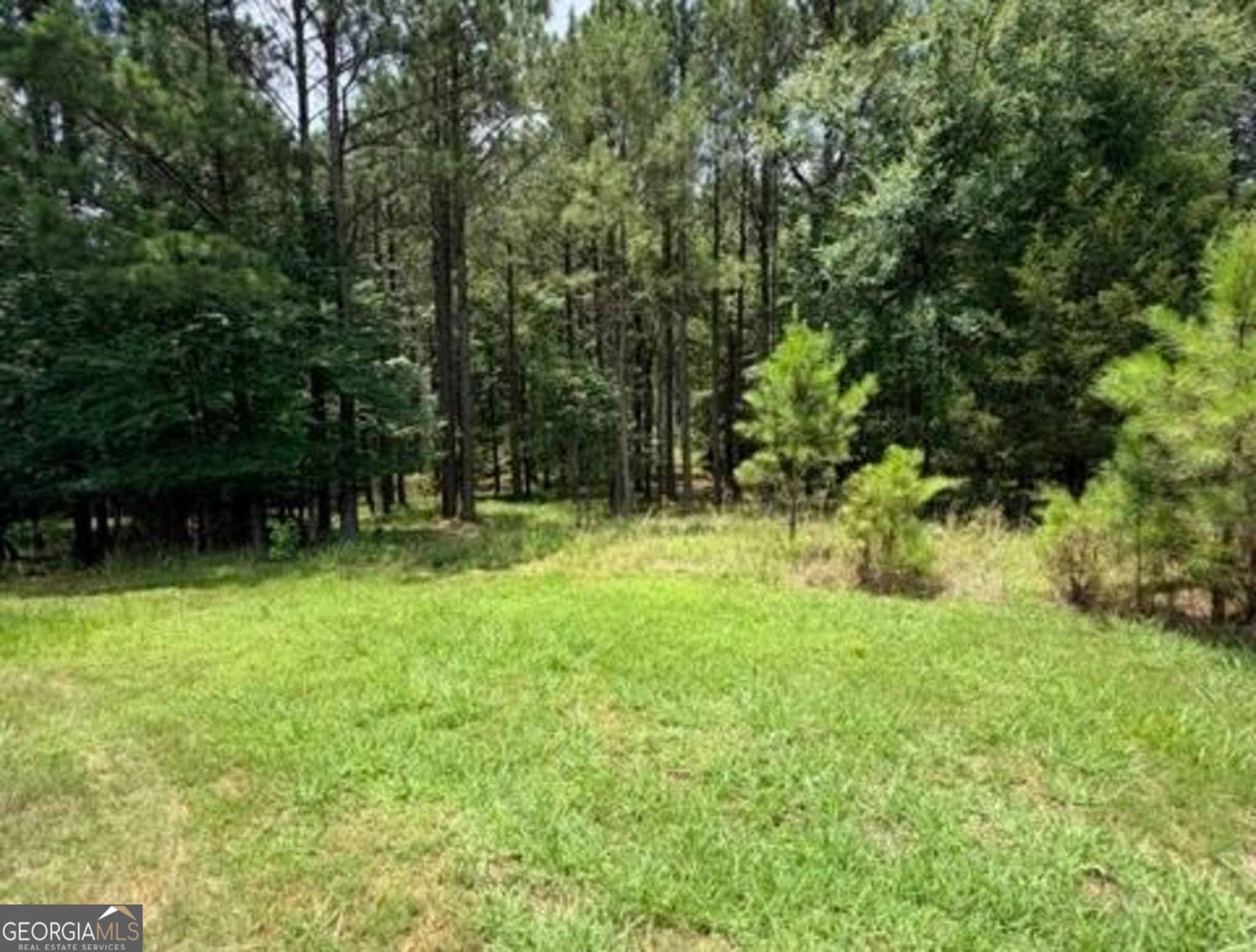 residential lot for sale at 1476 Rock Point Cove, Tignall, GA 30668 — photo 2