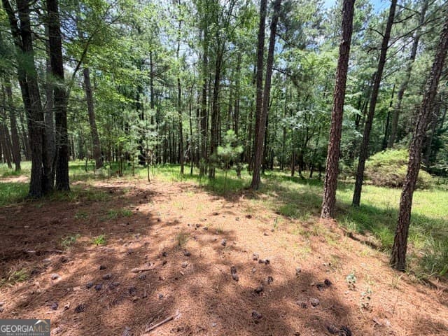 residential lot for sale at 1476 Rock Point Cove, Tignall, GA 30668 — photo 6