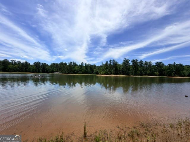 residential lot for sale at 1476 Rock Point Cove, Tignall, GA 30668 — photo 3