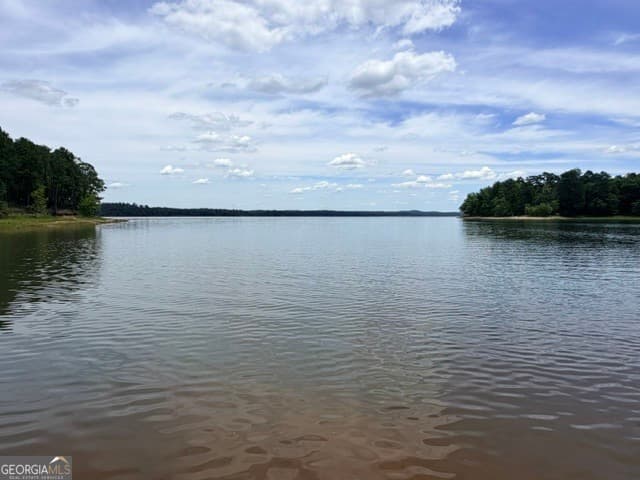 residential lot for sale at 1476 Rock Point Cove, Tignall, GA 30668 — photo 1 of 11