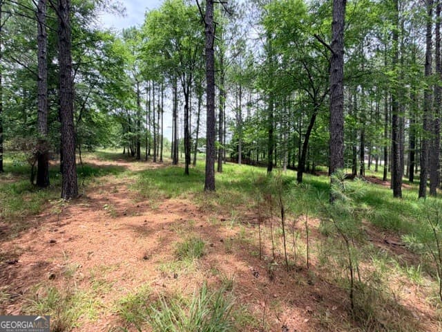 residential lot for sale at 1476 Rock Point Cove, Tignall, GA 30668 — photo 9