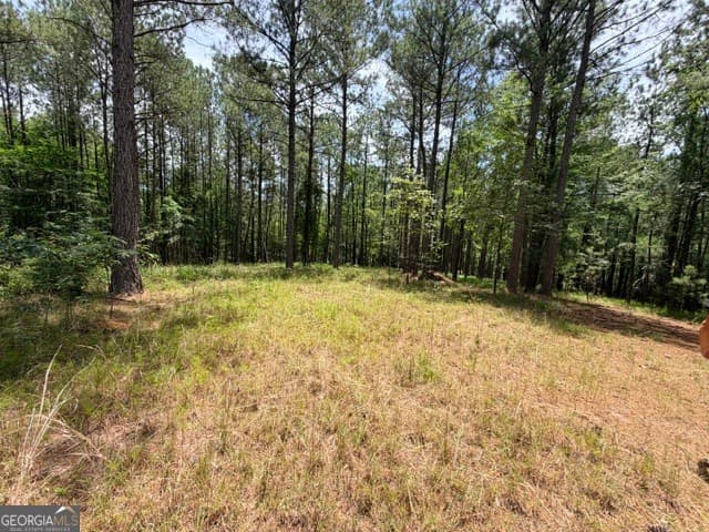 residential lot for sale at 1476 Rock Point Cove, Tignall, GA 30668 — photo 4