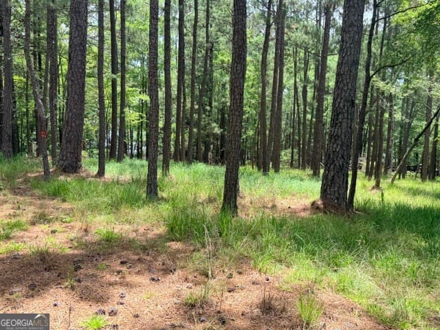 residential lot for sale at 1476 Rock Point Cove, Tignall, GA 30668 — photo 8