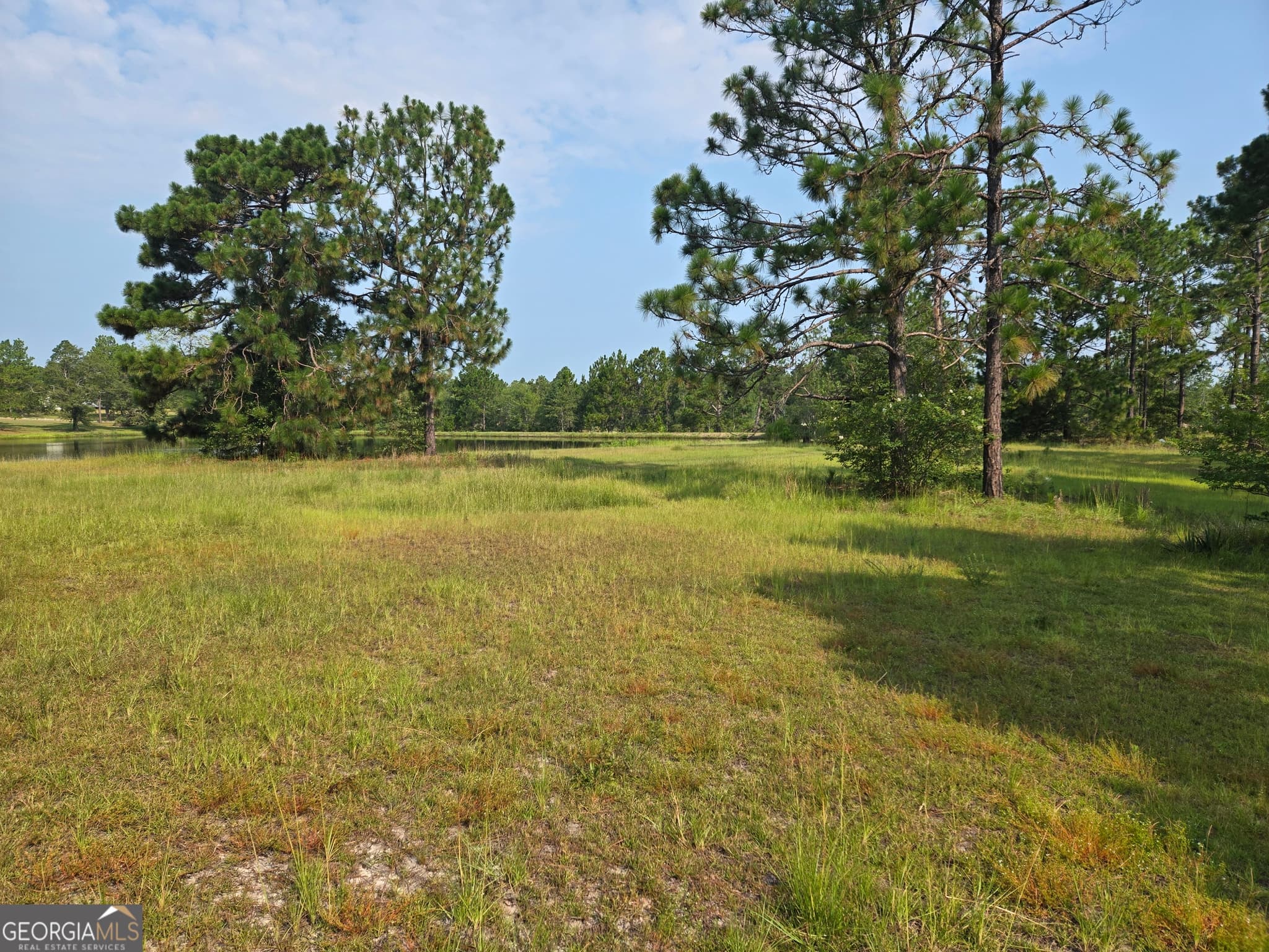 3 bedroom, 2 bathroom manufactured home,single family residence for sale at 46 Tony Baker Lane, Garfield, GA 30425 — photo 5