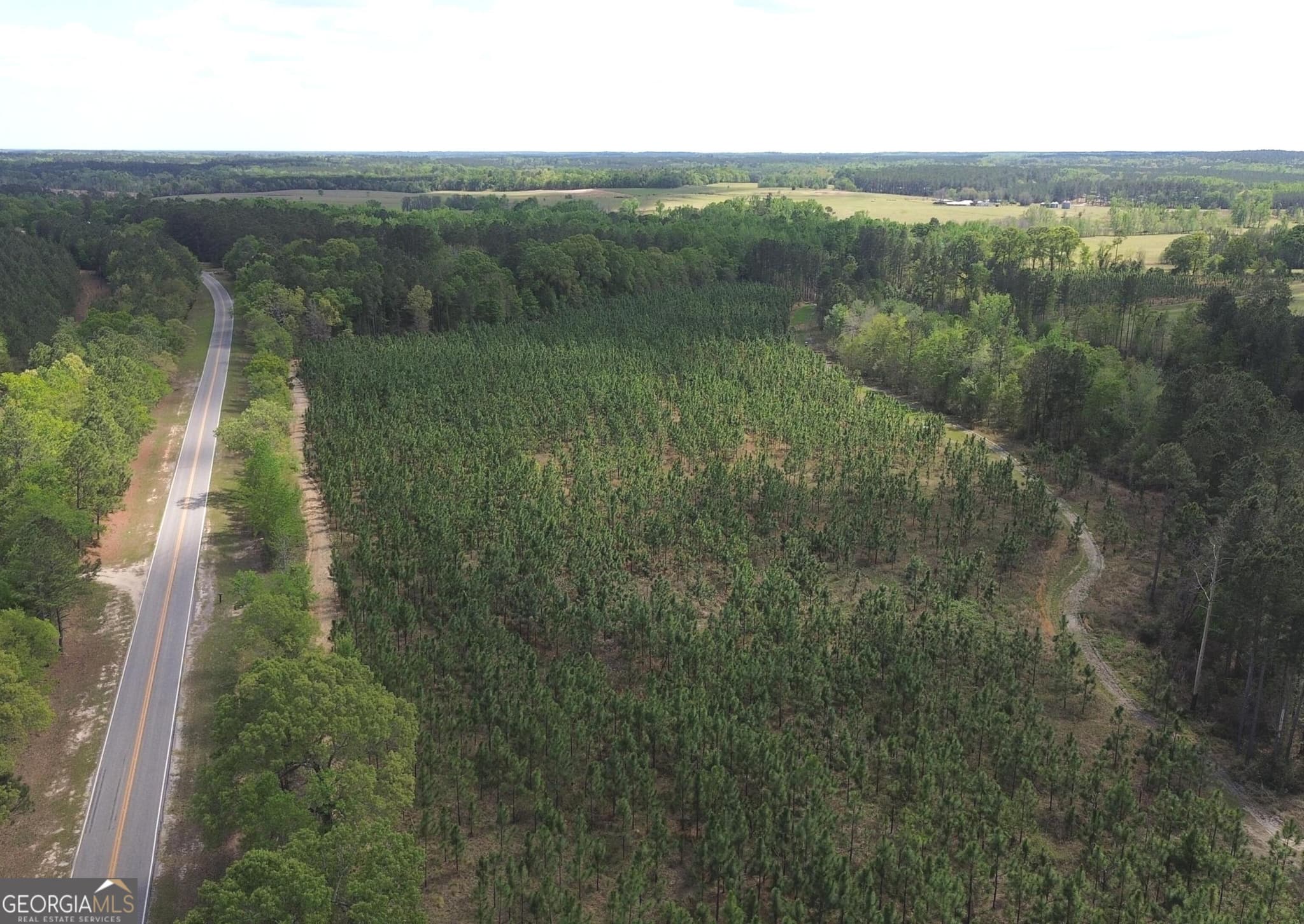 agriculture for sale at 002 Old Poor Robin TRACT 2, Sylvania, GA 30467 — photo 2