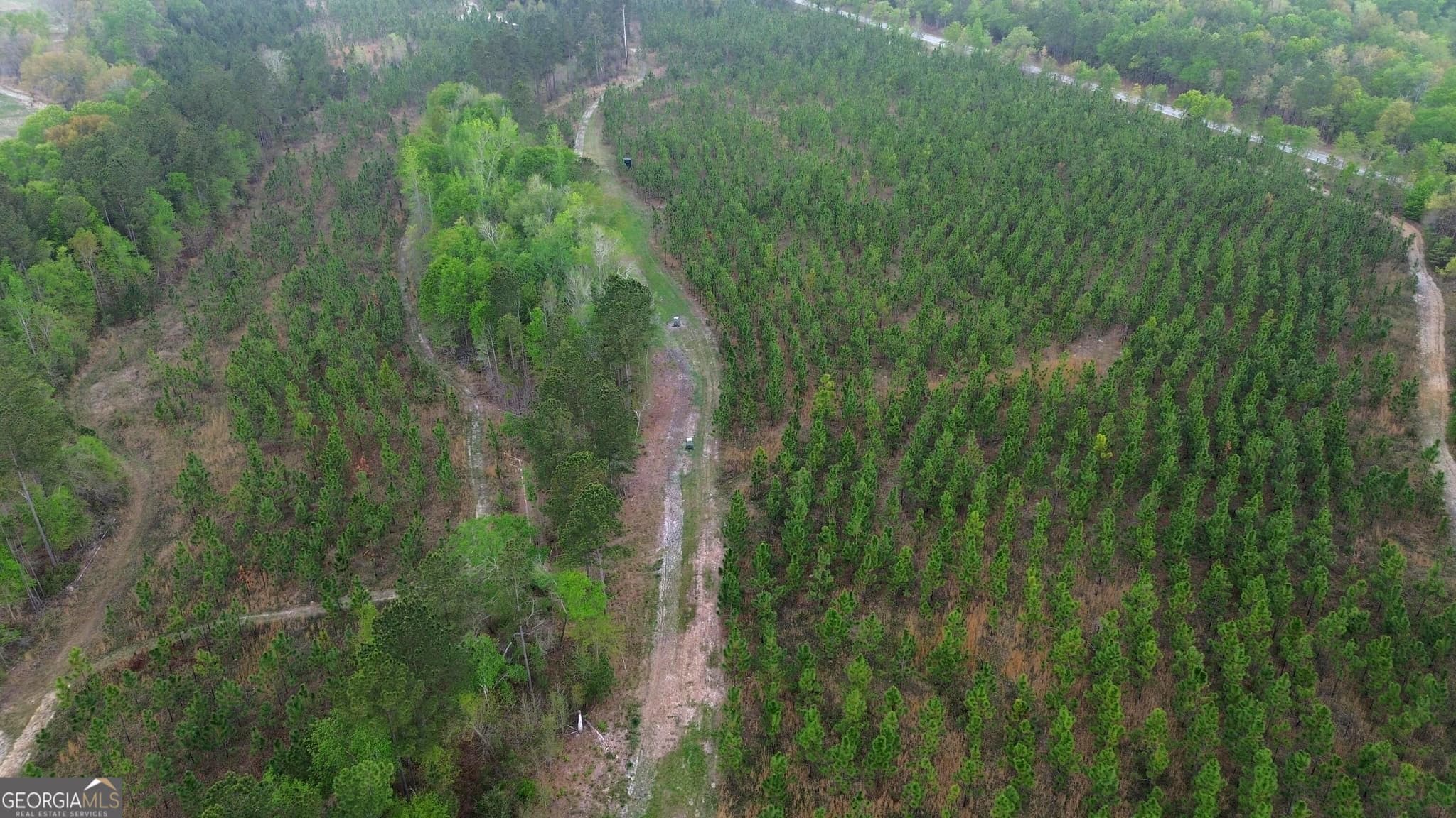 agriculture for sale at 002 Old Poor Robin TRACT 2, Sylvania, GA 30467 — photo 6