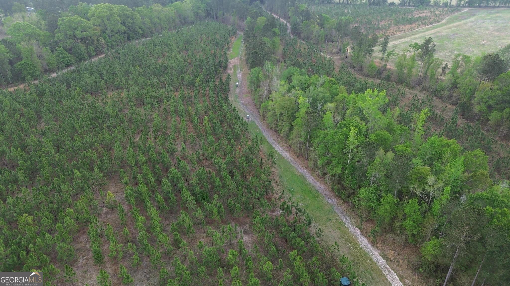 agriculture for sale at 002 Old Poor Robin TRACT 2, Sylvania, GA 30467 — photo 7