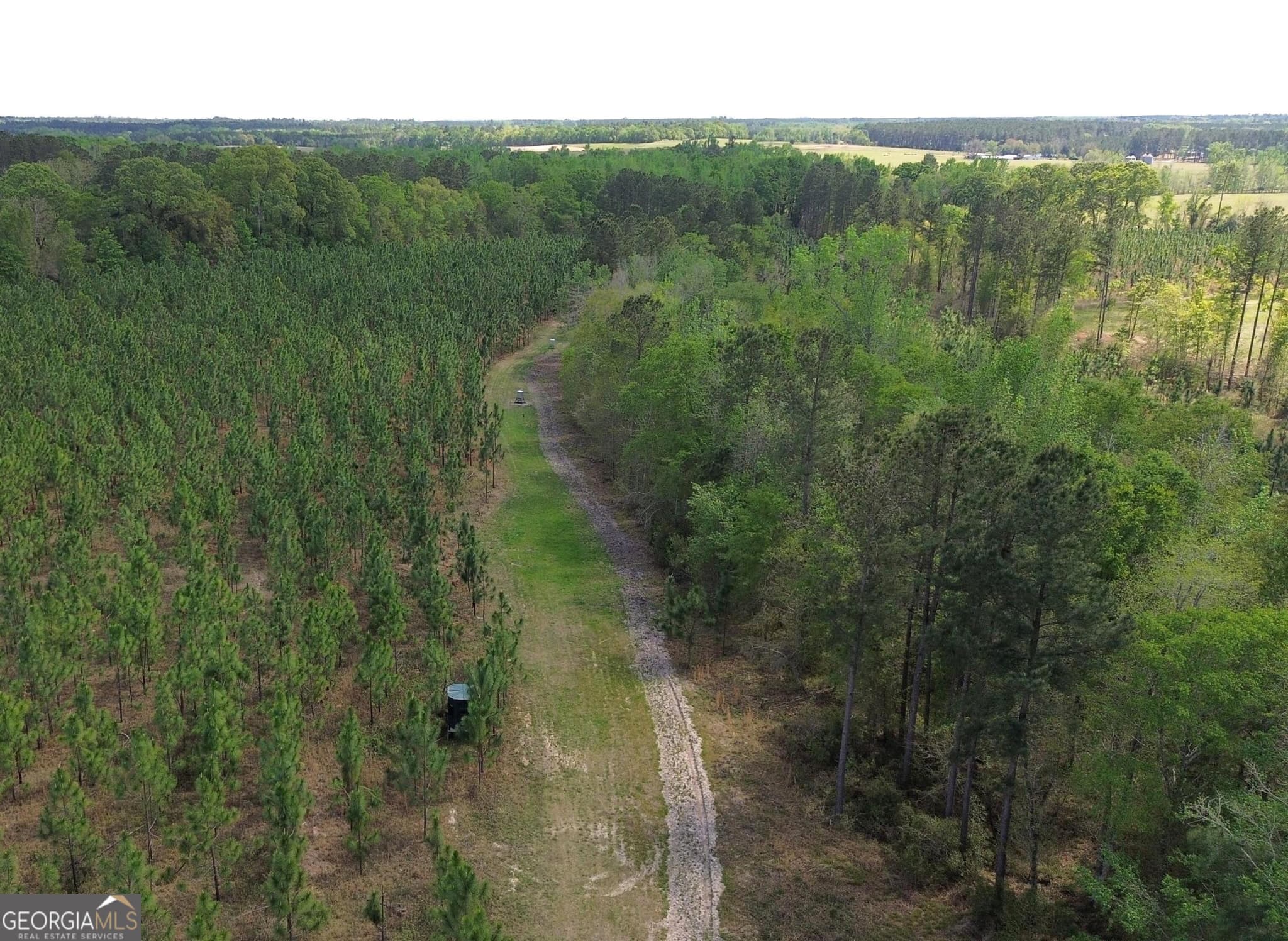 agriculture for sale at 002 Old Poor Robin TRACT 2, Sylvania, GA 30467 — photo 3