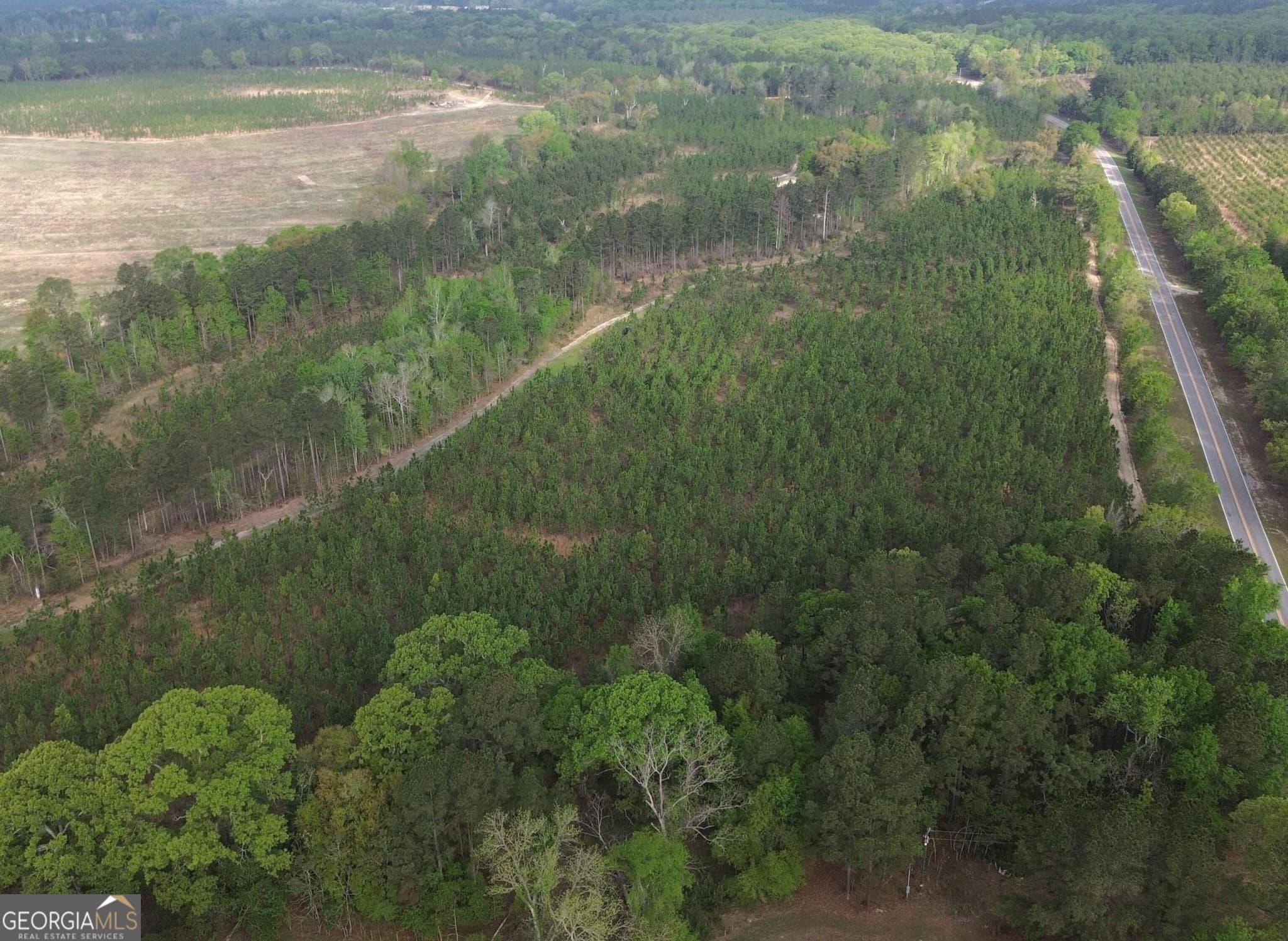 agriculture for sale at 002 Old Poor Robin TRACT 2, Sylvania, GA 30467