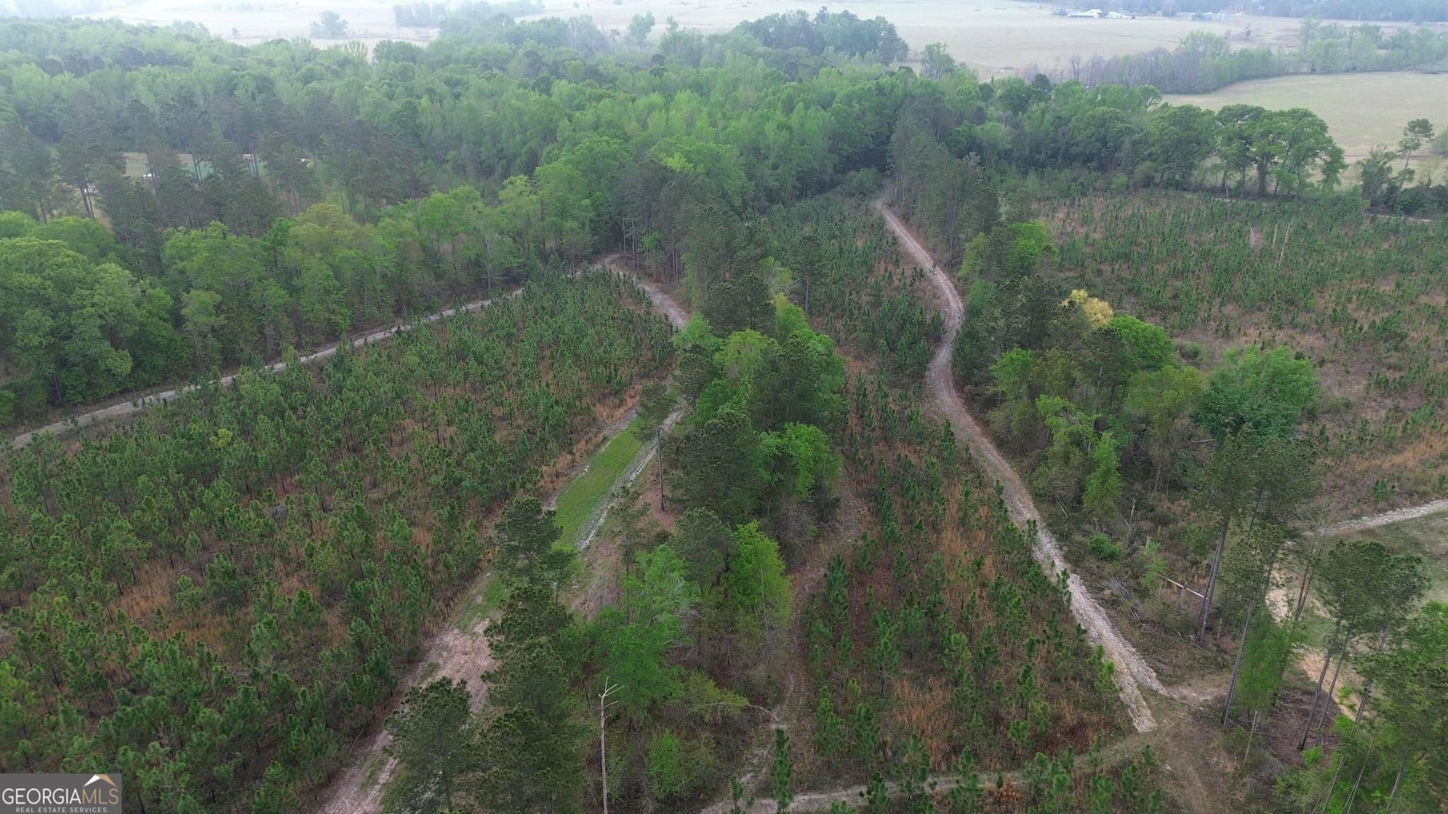 agriculture for sale at 002 Old Poor Robin TRACT 2, Sylvania, GA 30467 — photo 5