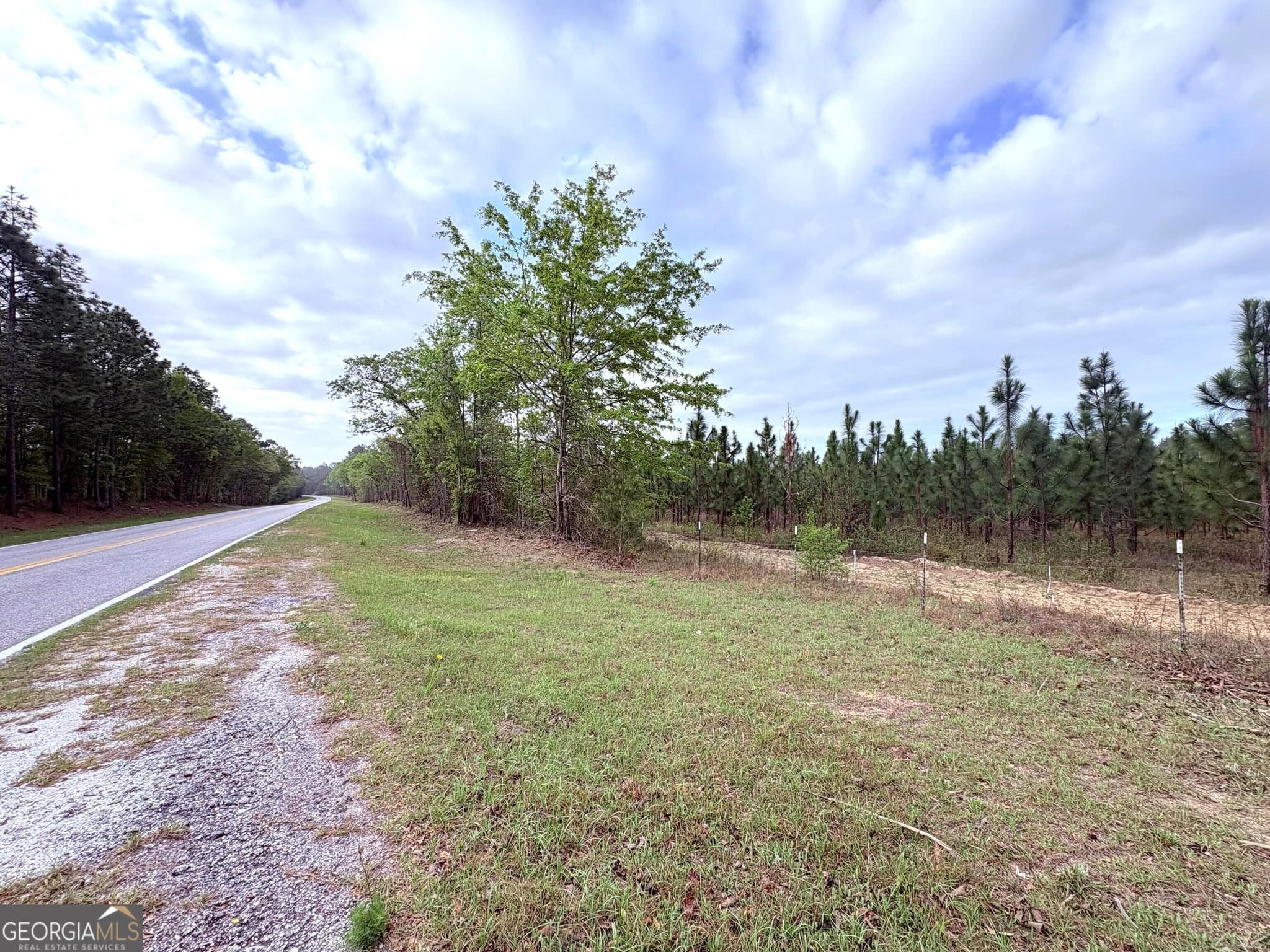 agriculture for sale at 002 Old Poor Robin TRACT 2, Sylvania, GA 30467 — photo 9