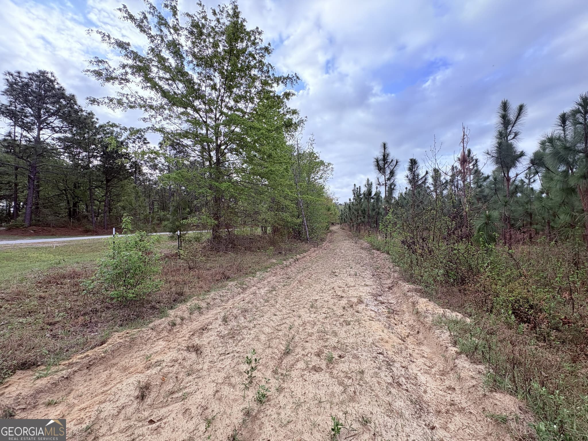 agriculture for sale at 002 Old Poor Robin TRACT 2, Sylvania, GA 30467 — photo 10