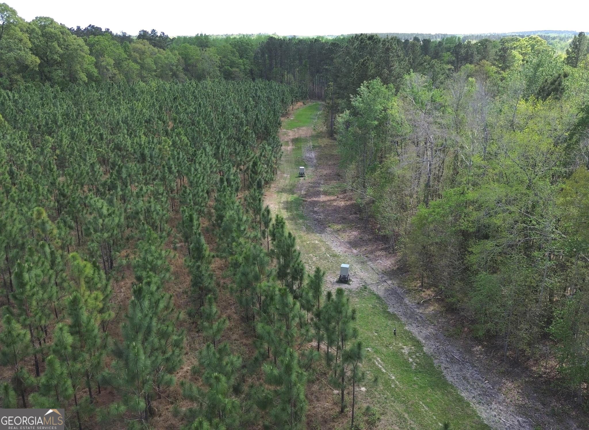 agriculture for sale at 002 Old Poor Robin TRACT 2, Sylvania, GA 30467 — photo 4