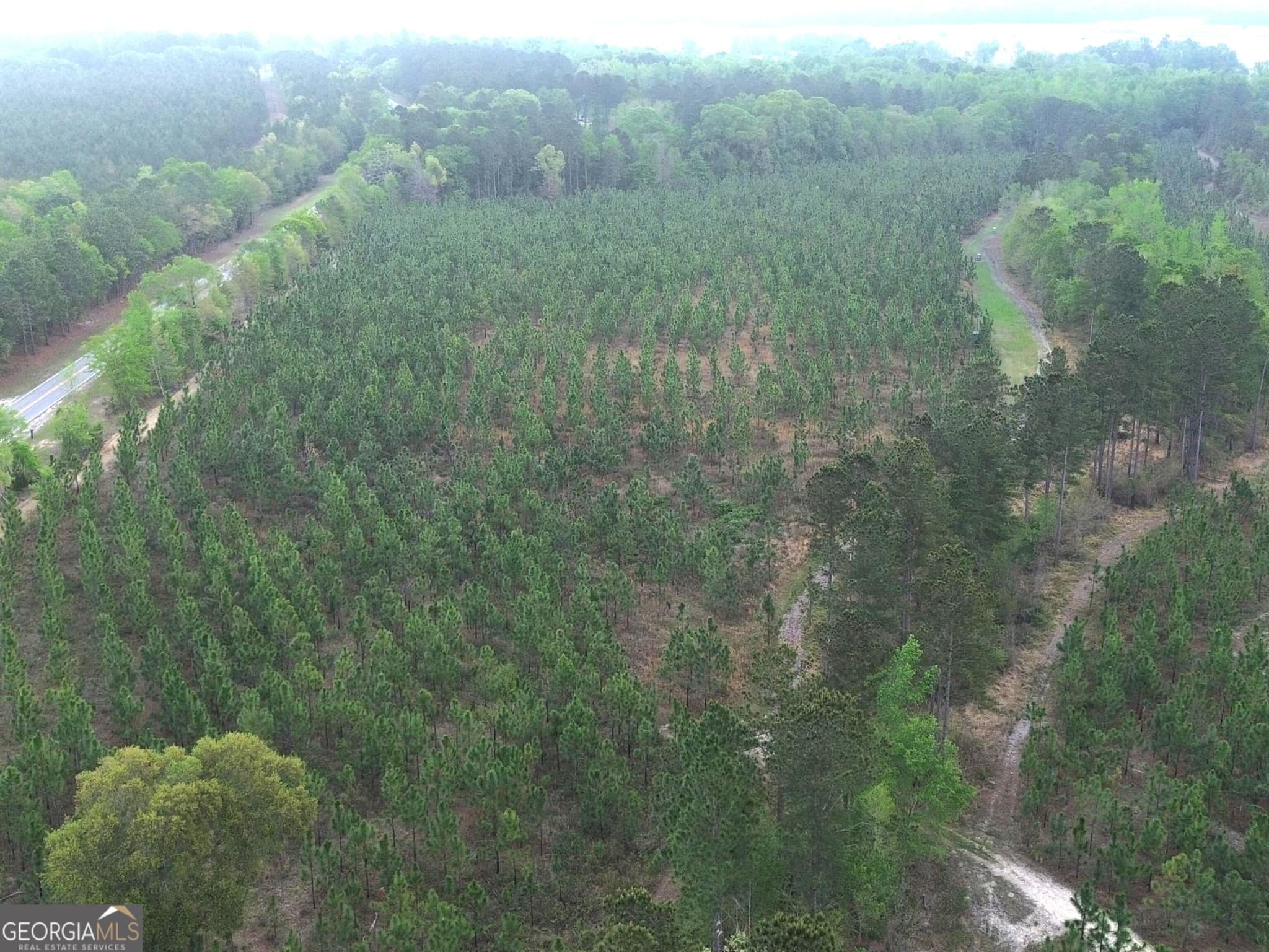 agriculture for sale at 002 Old Poor Robin TRACT 2, Sylvania, GA 30467 — photo 8