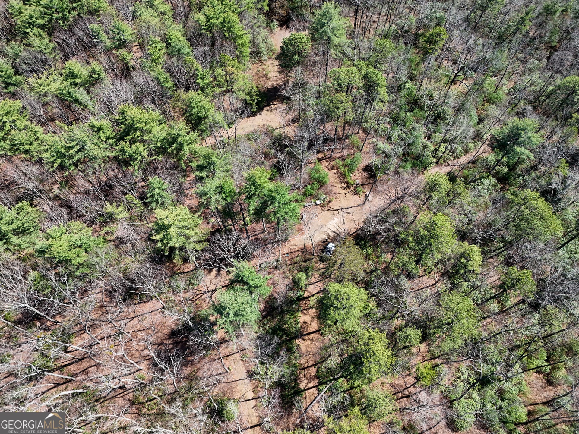 estate lot for sale at 0 Hale Ridge Road, Clayton, GA 30525 — photo 6