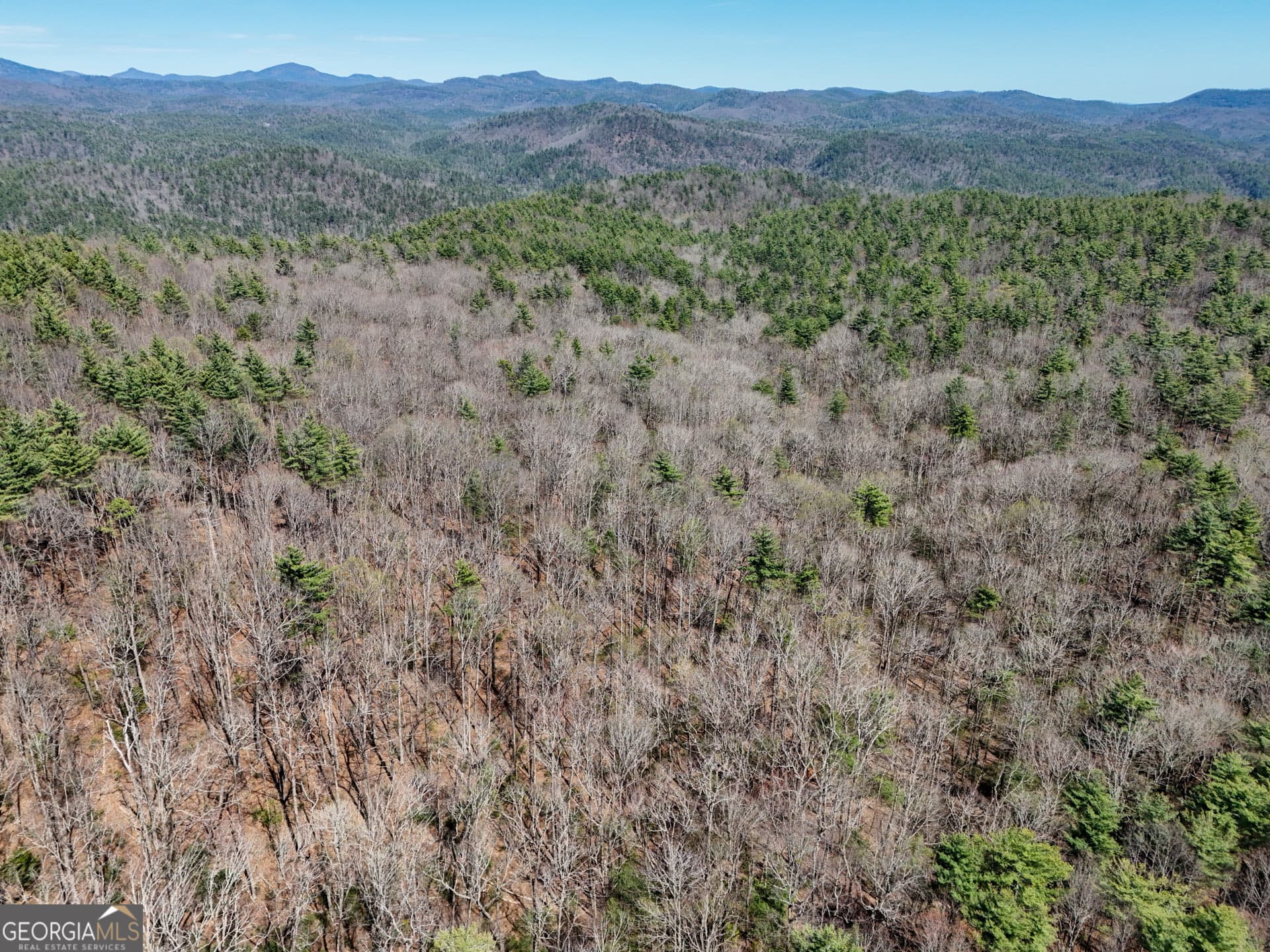 estate lot for sale at 0 Hale Ridge Road, Clayton, GA 30525 — photo 7