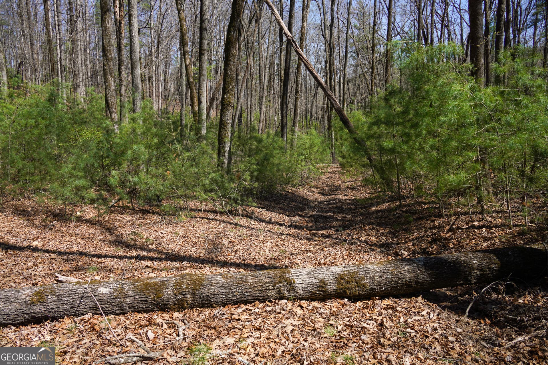 estate lot for sale at 0 Hale Ridge Road, Clayton, GA 30525 — photo 5