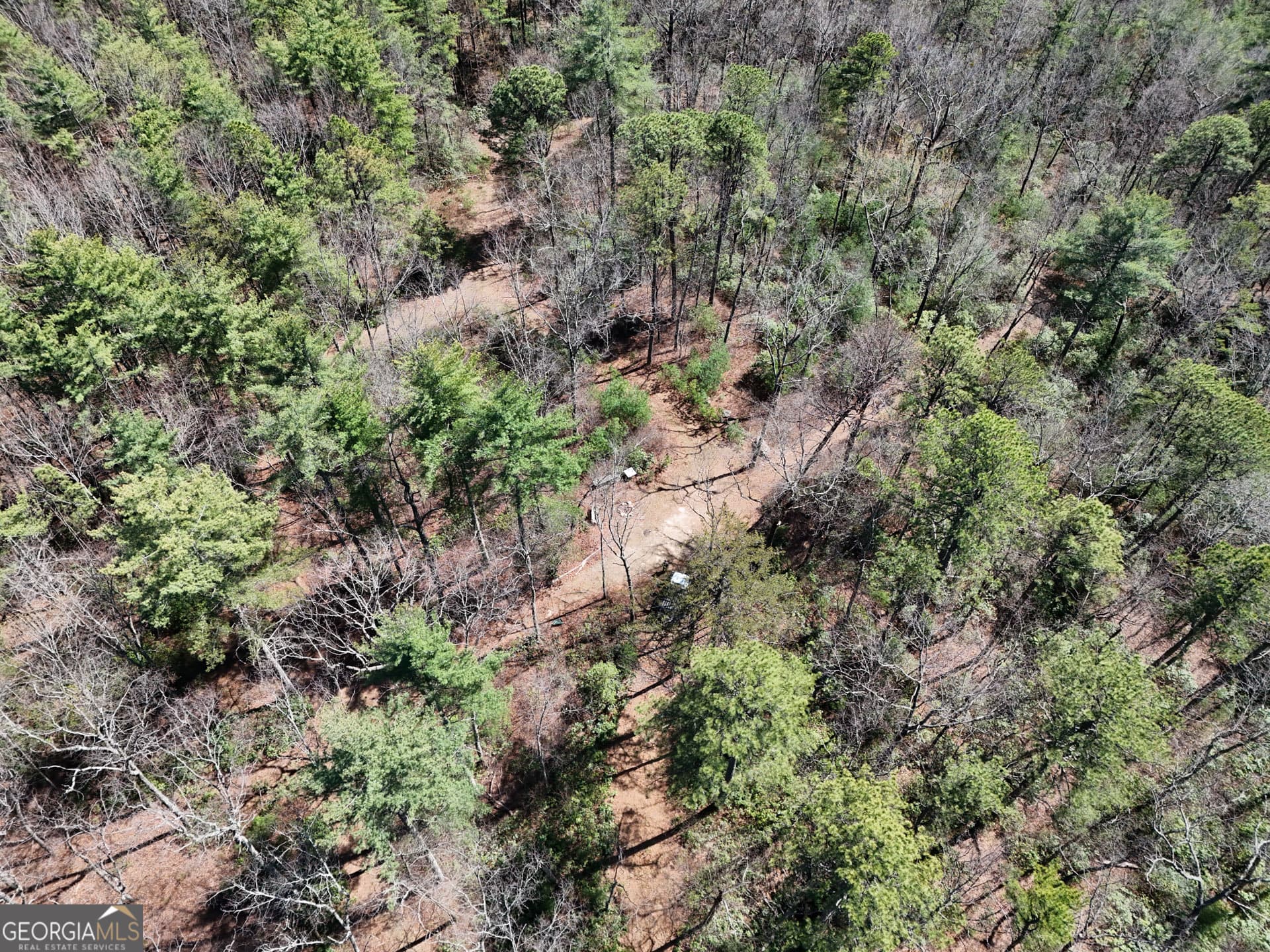 estate lot for sale at 0 Hale Ridge Road, Clayton, GA 30525 — photo 8