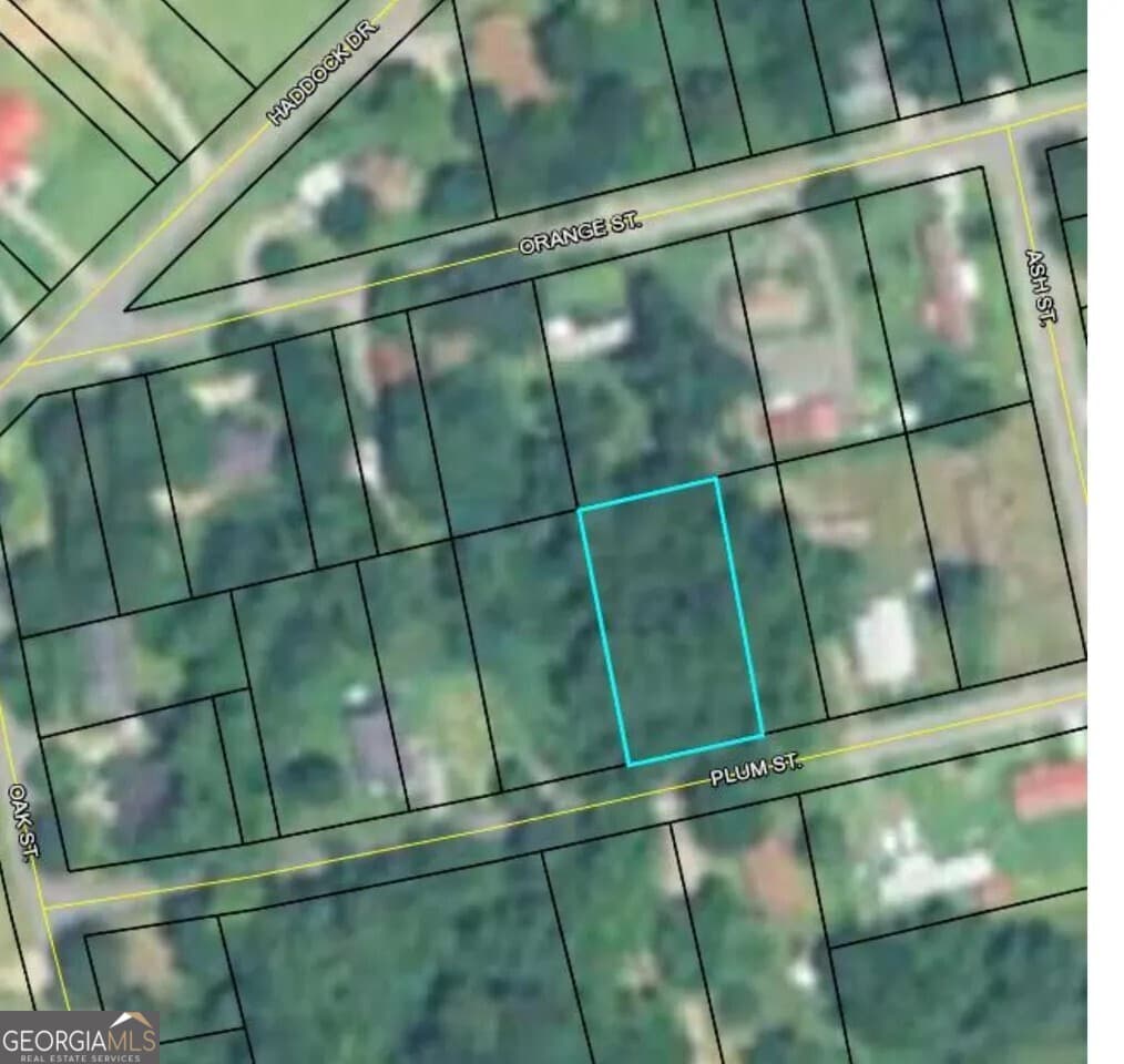 residential lot for sale at 147 Plum Street, Haddock, GA 31033 — photo 2