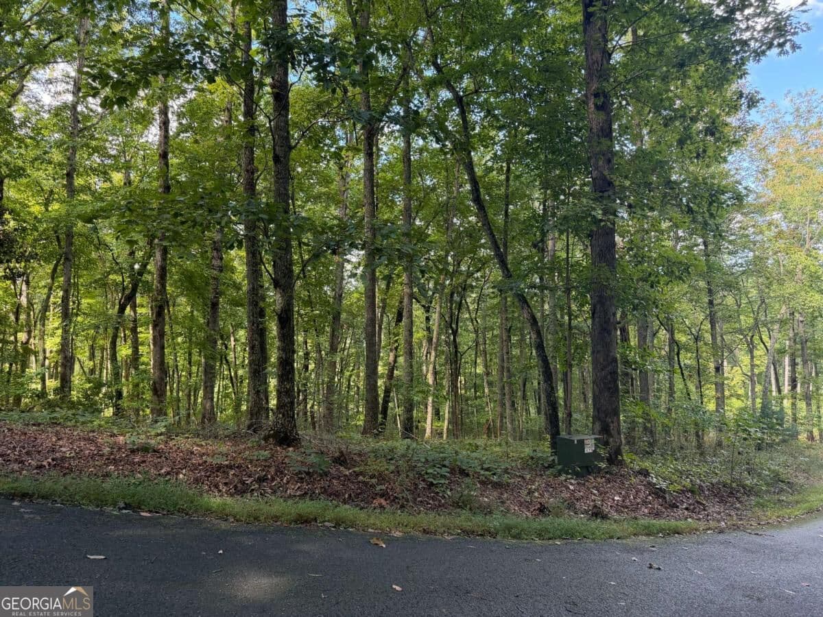 residential lot for sale at LOT 33 Falcon Overlook, Hayesville, MD 20894 — photo 2